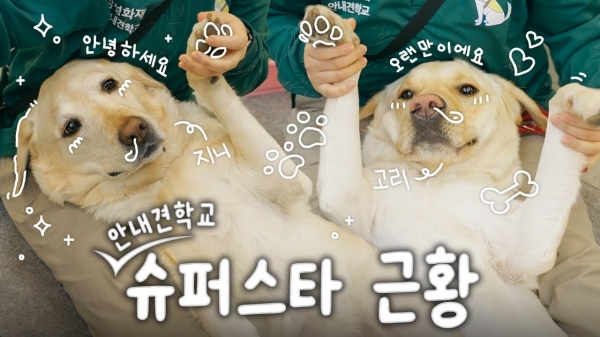 [사진=삼성화재]
