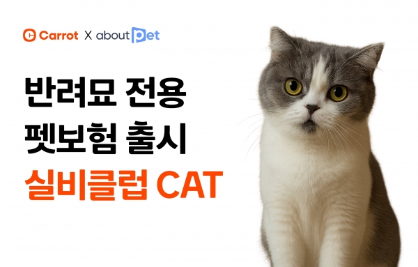 [사진=캐롯]