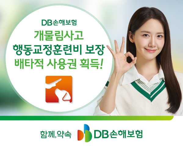 [사진=DB손해보험]
