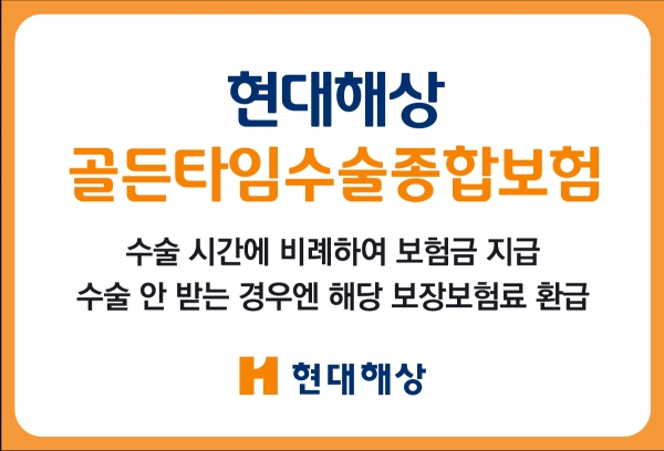 [사진=현대해상]