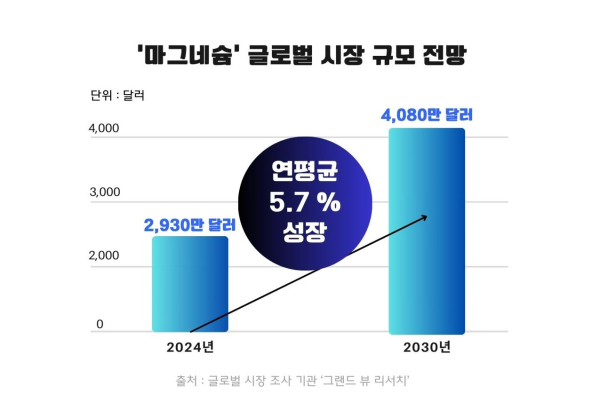 ▲마그네슘 글로벌 시장 규모 전망 인포그래픽_[사진제공=알피바이오]