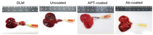 [사진=강스템바이오텍]