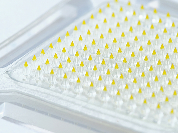 ▲대웅테라퓨틱스가 개발한 마이크로니들 패치의 약물층을 시각적으로 표현하기 위해 색소를 첨가하고 4.2배 확대 촬영한 모습