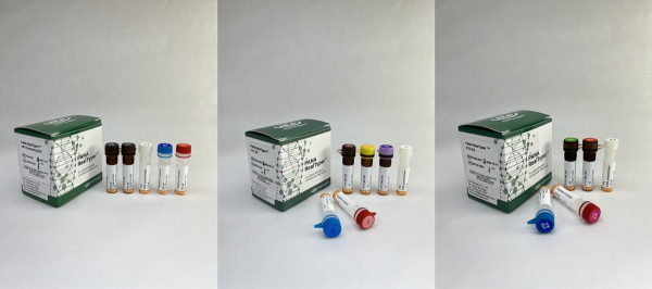 ▲유럽연합 체외진단의료기기 규정 인증(CE IVDR) 획득한 감염성 질환 진단 제품 3종