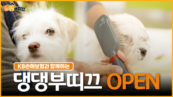 [사진=KB손해보험]