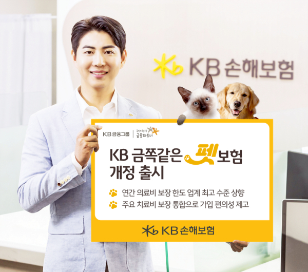 [사진=KB손해보험]