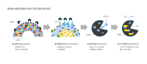 ‘한번에생생’ 코팅 껍질 분해 과정 [사진=팜한농]