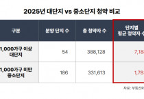 2025년 대단지와 중소단지 청약 비교표 [사진=부동산R114]
